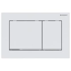 Geberit Omega30 Dual Flush Plate - White / Chrome