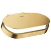 Grohe Selection Toilet Roll Holder With Cover - Brushed Cool Sunrise 1 Grohe Selection Toilet Roll Holder With Cover - Brushed Cool Sunrise -Home Bathroom grohe selection toilet roll holder with cover brushed cool sunrise 41069gn0